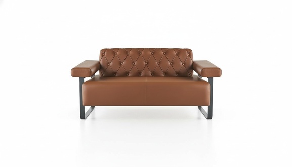 Brown Leather Sofa 2-Seater Modern Chesterfield Stainless Steel Living Room