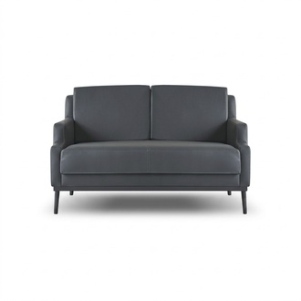 Dark Gray 2-Seater Sofa Solid Color Modern Style Design Office Room