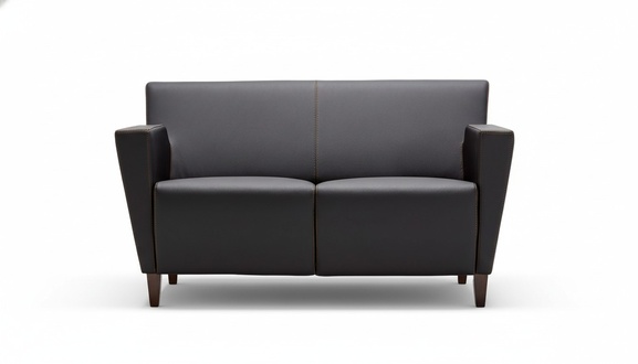 Sofa 2-seater office furniture upholstery design luxury couch leather sofas