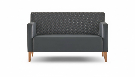 Black Single Color Modern Design 2-Seater Sofa for Office Living Room