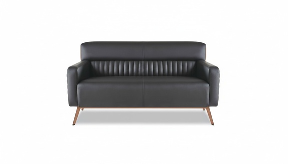 Black Single Color Modern Design 2-Seater Sofa for Office Living Room