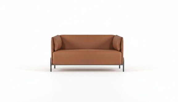 Brown Single-Color Sofa 2-Seater Office Modern Gray Stainless Steel Legs