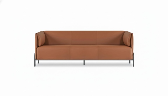 Brown Single-Colored 3-Seater Sofa for Office Living Room with Cushions Modern