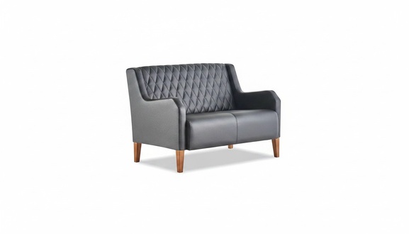 Black Sofa 2-Seater Couch Leather Modern Two-Seater Leather Sofa Wood Soft