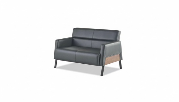 Black Sofa 2-Seater Leather Sofa Modern Couch Leather Stainless Steel Two-Seater