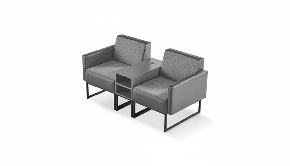 Gray Sofa 2-Seater Shelves Office Room Hallway Entrance Foyer Office Furniture