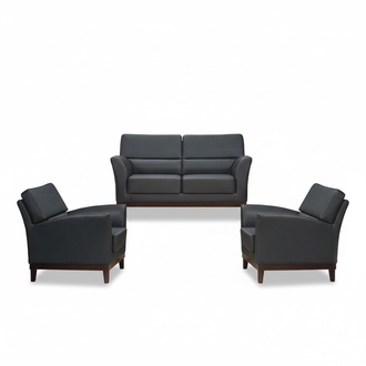 Sofa Sofa set leather sofa couches seating set sofa upholstery couch 2-piece armchair