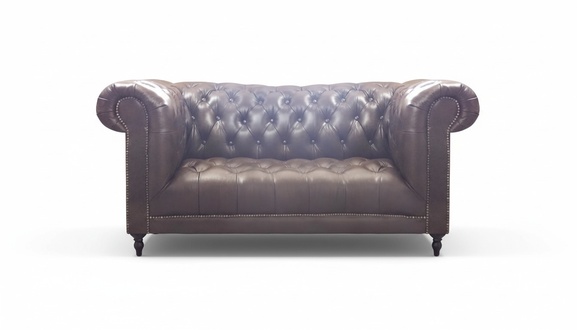 Sofa Two Seater Couch New Luxury Living Room Upholstered Furniture Furnishings