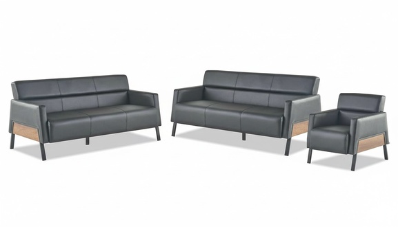 3-Seater Sofas Armchair Black Modern Seating Furniture Sofa Set Leather Sofas Wood