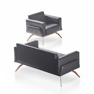Home Office Set 2-piece 2-Seater Sofa with Armchair Gray Solid Color Living Room