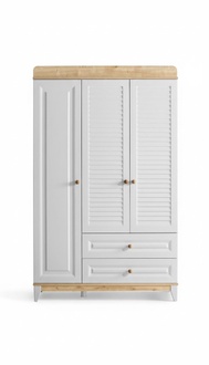 Wardrobe practical and stylish children\'s wardrobe for any child\'s room.