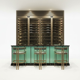 Wine archive wine cooler wine rack wine cabinet bottle rack wine furniture