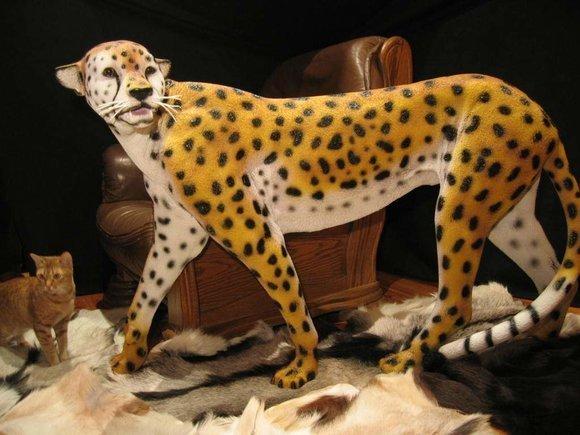 Decorative sculpture designed as a original colored cheetah 85cm (A281A)